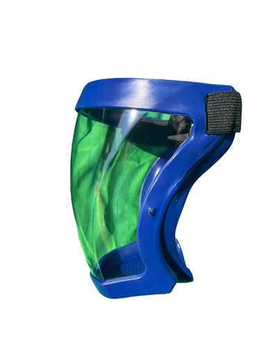 Face shield